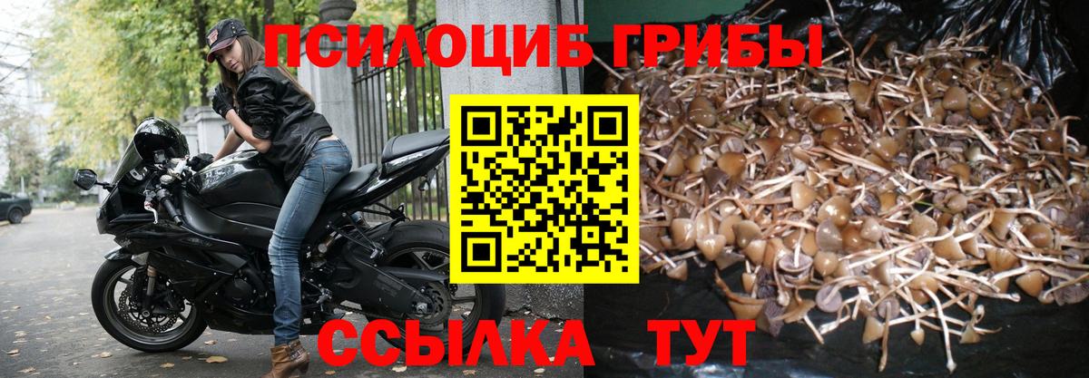 Псилоцибиновые грибы MAGIC MUSHROOMS  Вход с VPN  Прохладный 