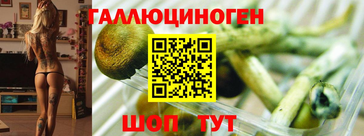 Галлюциногенные грибы GOLDEN TEACHER Прохладный